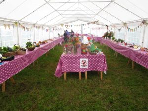 The produce tent ready for judging